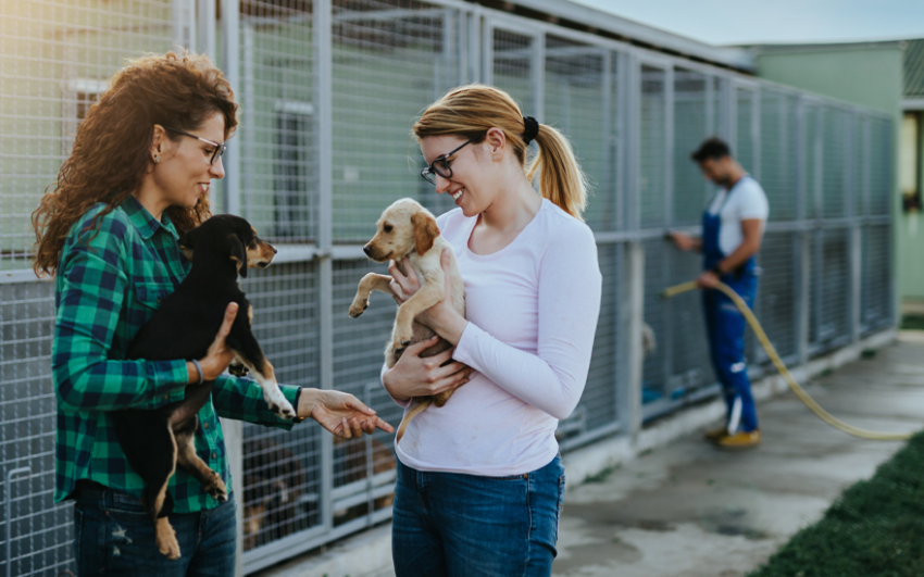 Two women in foreground holding puppies with a man in background cleaning kennels outside at an animal shelter.