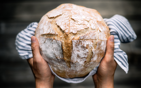 Read more about Sourdough: A Recipe Rooted in Community